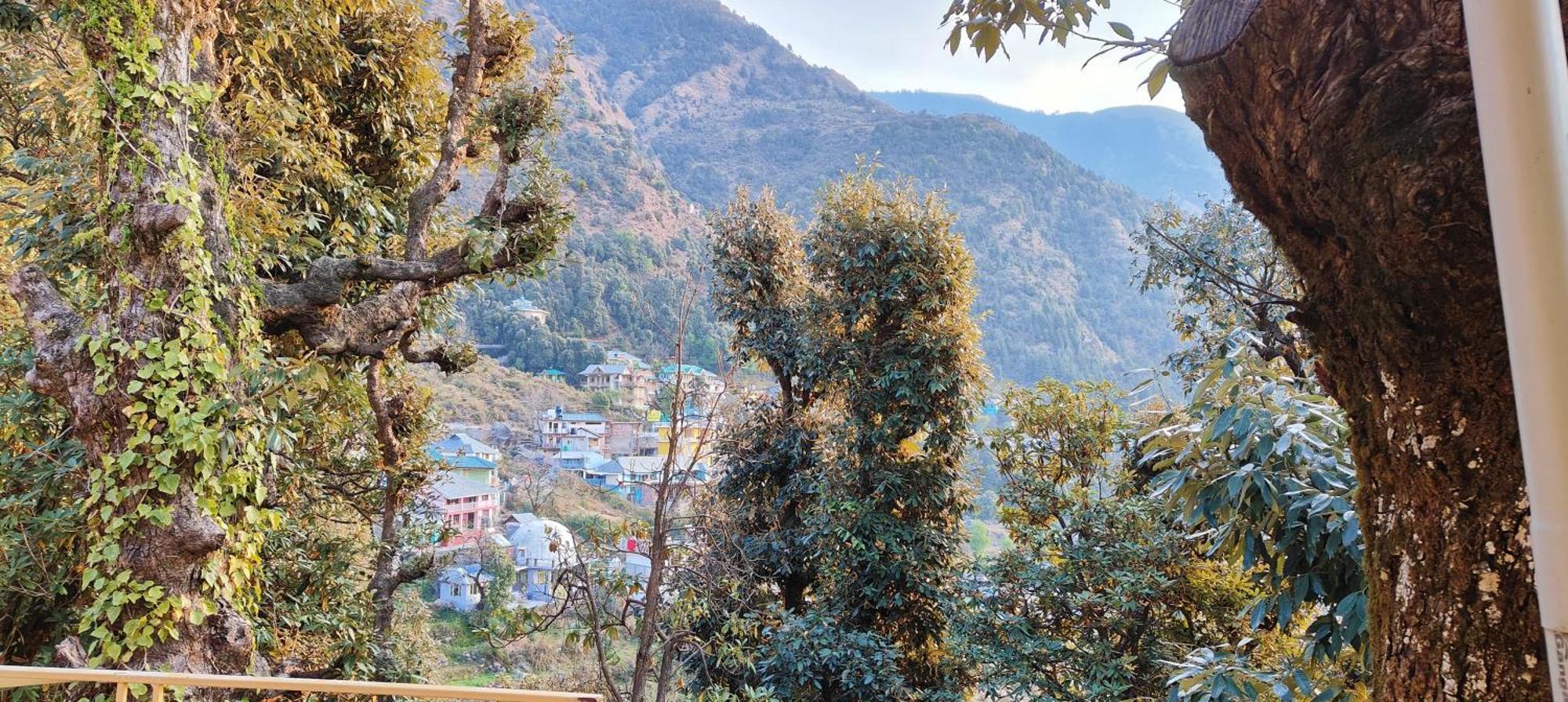 Bed and Breakfast The Unmad - Dharamkot Дармсала Екстер'єр фото